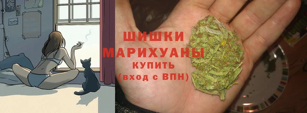 первитин Надым