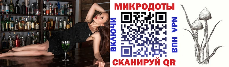 Псилоцибиновые грибы Psilocybe  хочу   Ачхой-Мартан 