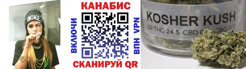 где купить Ачхой-Мартан Бошки Шишки планчик